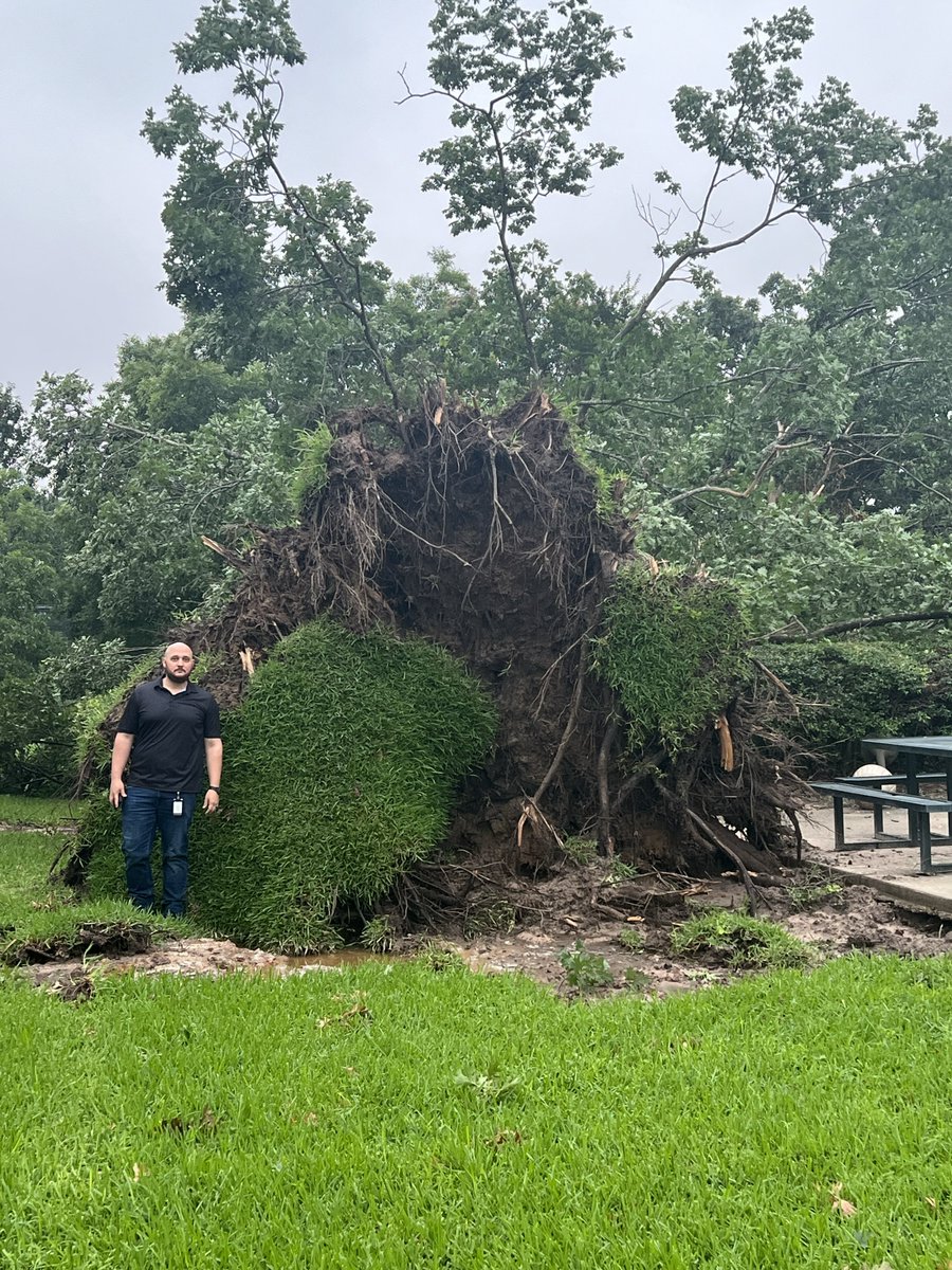 TxDOTTyler's tweet image. The District HQ was not spared by the recent storms. Some very large trees toppled, luckily, no one was injured. Check out how large the tree is near the historic Gentry Building which houses our construction office. #StormCleanup