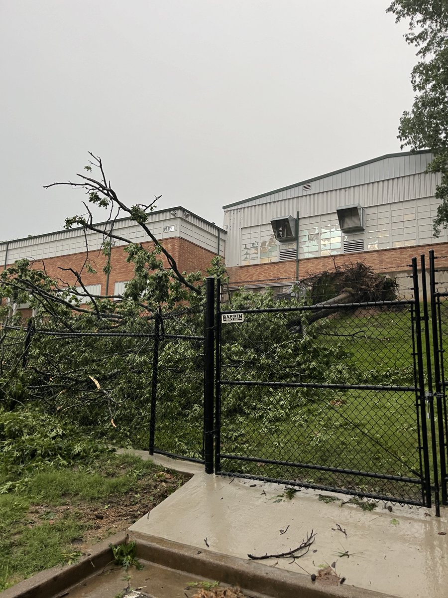 TxDOTTyler's tweet image. The District HQ was not spared by the recent storms. Some very large trees toppled, luckily, no one was injured. Check out how large the tree is near the historic Gentry Building which houses our construction office. #StormCleanup