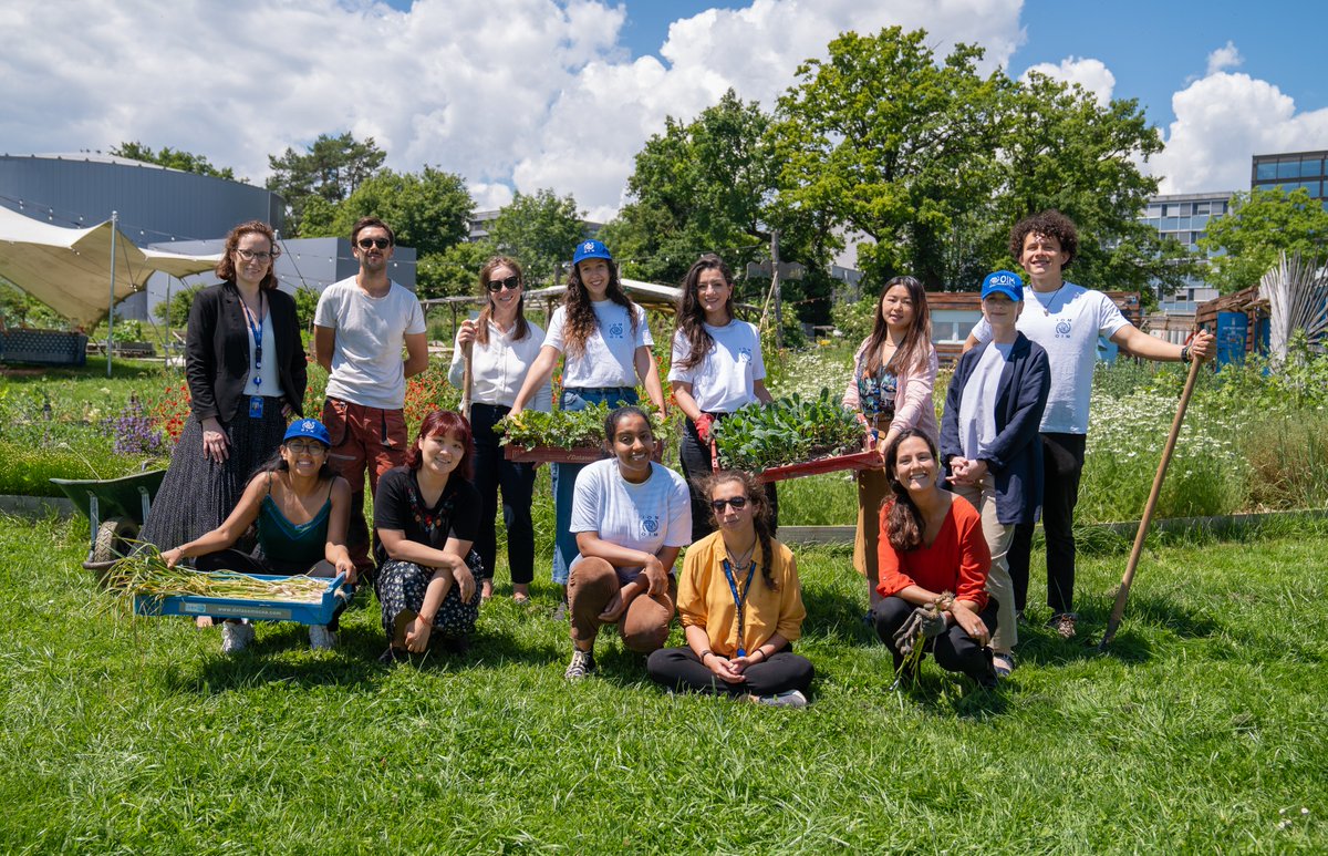 IOM_MECC's tweet photo. Today on #WorldEnvironmentDay, staff in IOM HQ experienced planting and harvesting at the Jardin des Nations Garden🌱 

Urban gardens are great initiatives towards greener cities, and a greener future for all!

Check out IOM's #WED2024 campaign 👉 https://t.co/Ihd8iTEbFK https://t.co/HzHMtV2m8g