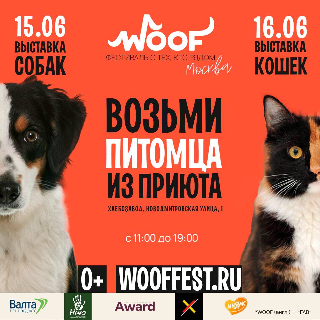 zverikivdar's tweet photo. #Москва #выставка
15 и 16 июня пройдёт ежегодный благотворительный фестиваль WOOF в Москве! @woof_fest
Более 90 собак и 190 кошек из местных приютов и области приедут в «Хлебозавод Nº9» в поисках новой семьи. Все они социализированы, привиты и стерилизованы! https://t.co/gvegY6Jj2g