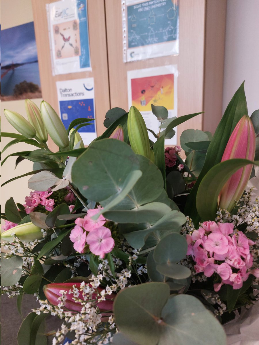 Felicitas Lips (Lips_Group) tweet media