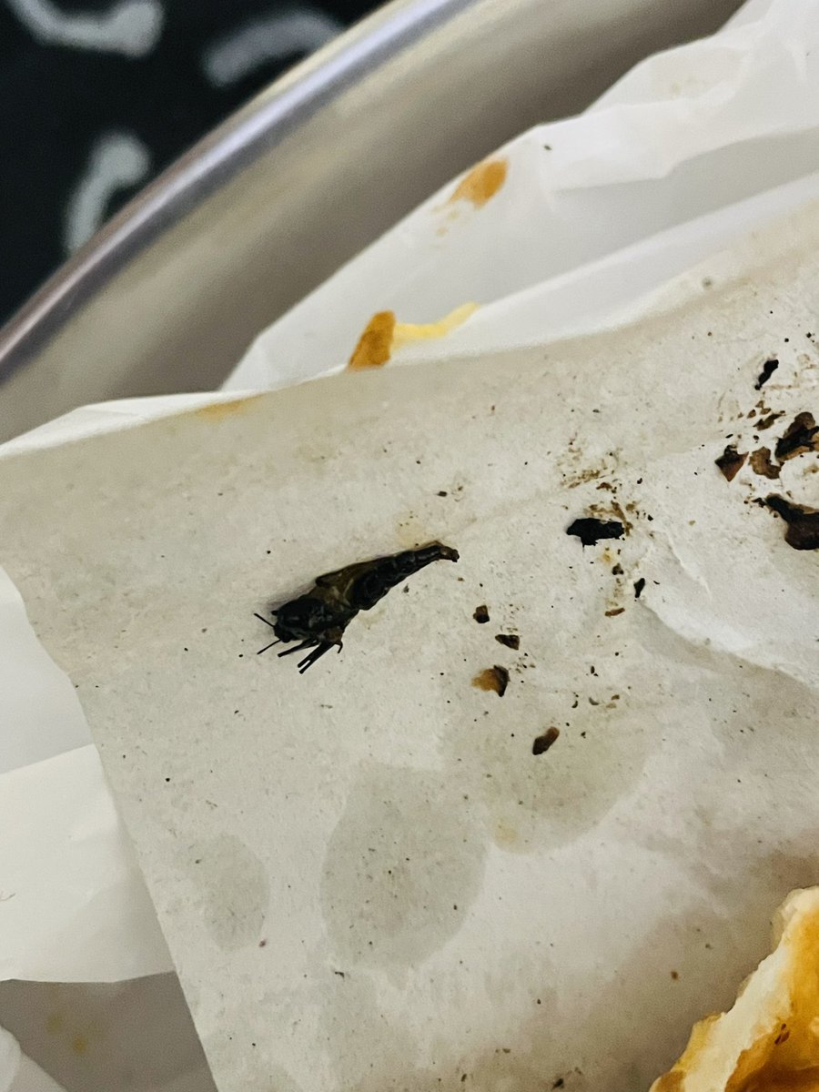 MilindPal10's tweet photo. I ordered from @zomato from Biryani story shop and they sent me rolls with insect in it and it was very unhygienic and when I asked for my full refund so they refunded just less than half of money. I want my full refund for such a pathetic food. @zomatocare @deepigoyal @Swiggy https://t.co/EZcYn3zmym