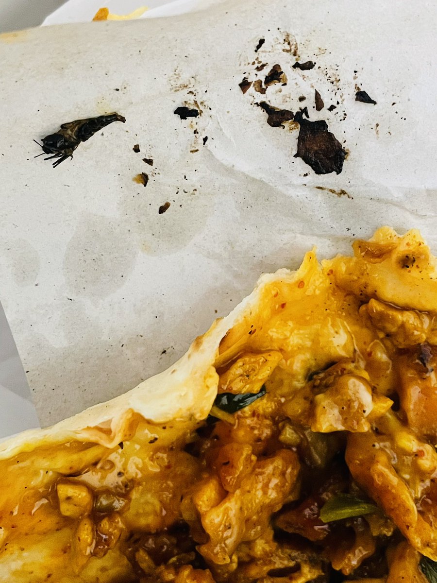MilindPal10's tweet photo. I ordered from @zomato from Biryani story shop and they sent me rolls with insect in it and it was very unhygienic and when I asked for my full refund so they refunded just less than half of money. I want my full refund for such a pathetic food. @zomatocare @deepigoyal @Swiggy https://t.co/EZcYn3zmym