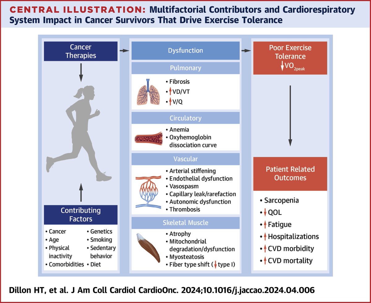 PhysioMeScience's tweet photo. Cancer Therapy and Exercise Intolerance: The Heart Is but a Part: JACC: CardioOncology State-of-the-Art Review

https://t.co/fZhPTUk3t9 https://t.co/CSkqxtKBt4