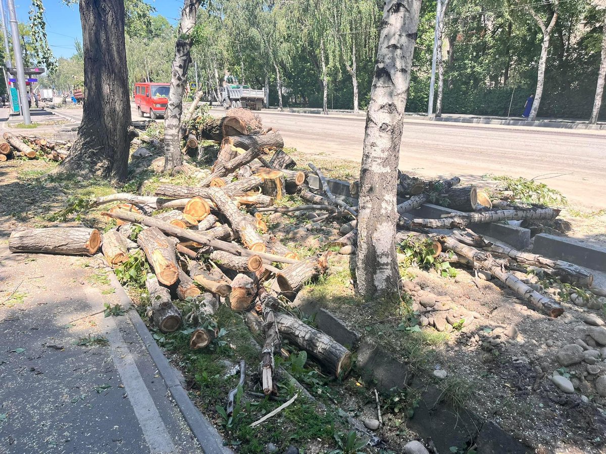 Chunueva's tweet photo. Спасибо, @meriabishkek, и лично мэру, что превратили Бишкек в сковородку.♨️

Разбили остановки, выкорчевали деревья, которые давали влагу и тень и кусты, которые улавливали пыль.

Теперь машин станет больше, летом еще жарче, загазованнее, больше ДТП из-за ухудшенной видимости. https://t.co/bCm1uZvahv