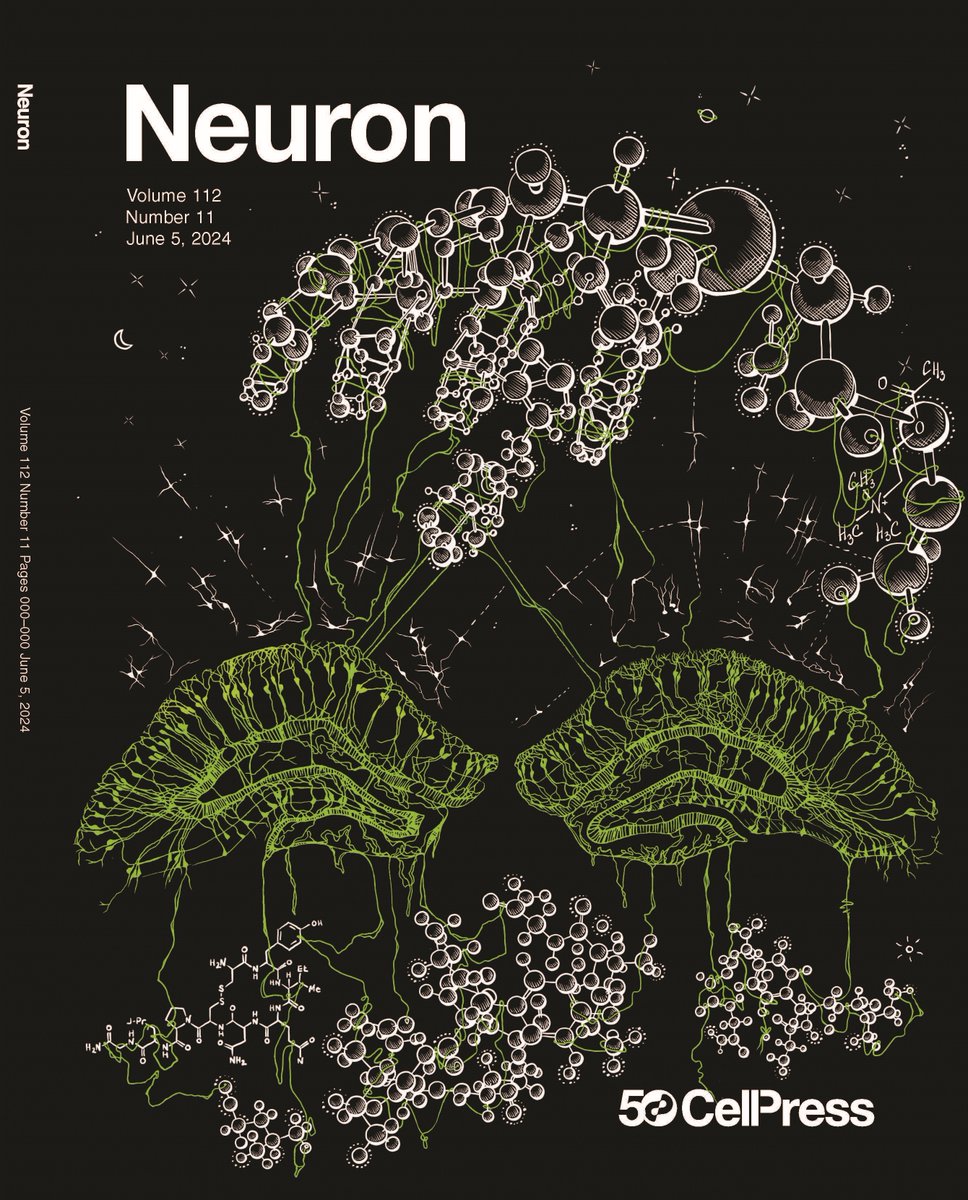 Check out our new issue: cell.com/neuron/current
Cover art is by Katya Koulakova, illustrating Zhang et al's paper on the interaction of acetylcholine and oxytocin neuromodulation in the hippocampus
cell.com/neuron/fulltex…
