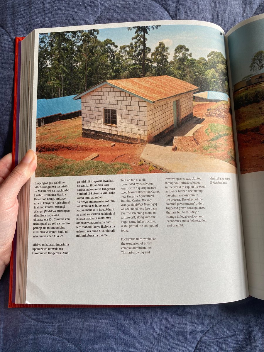 hannah mclean tweet media