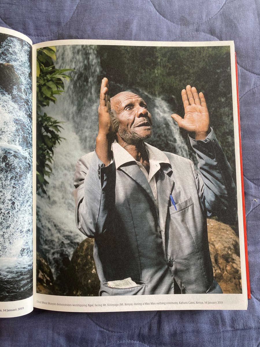 hannah mclean tweet media