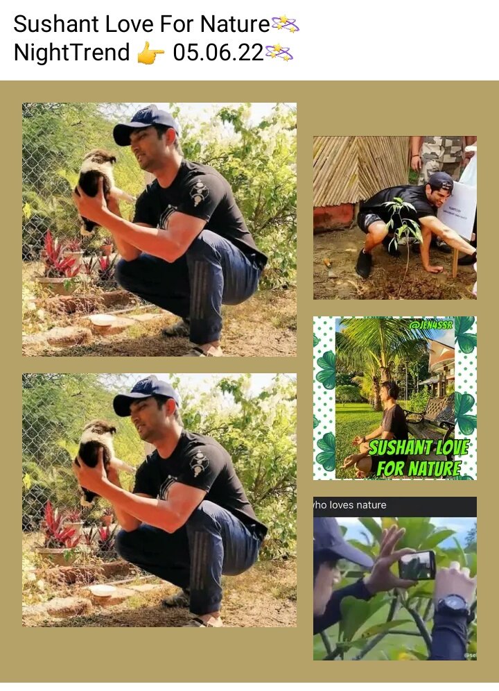 TheSsrian's tweet photo. Sushant Love For Nature🥀

#SushantSinghRajput𓃵 
#JusticeForSushantSinghRajput𓃵 . https://t.co/4D5vpsSNFr