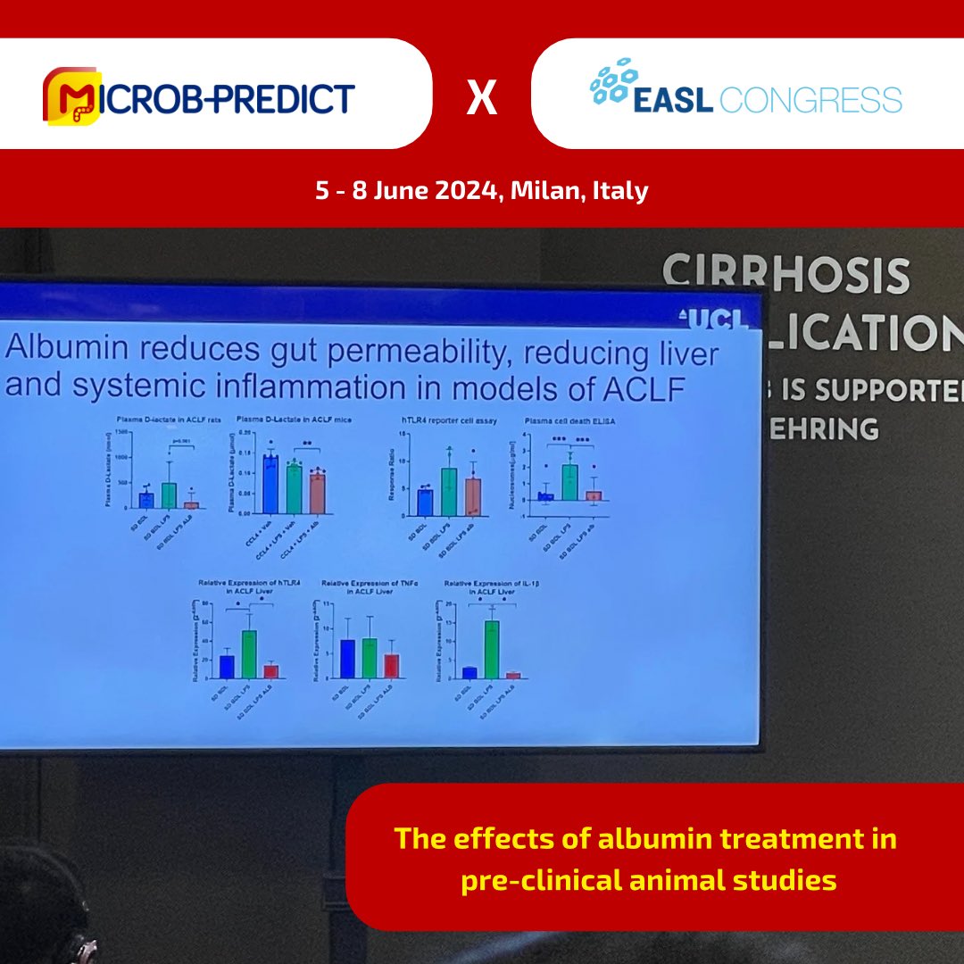 MicrobPredict's tweet photo. While researchers always strive to avoid animal studies, some remain essential for mechanistic insights. Alex Philipps from @ucl showed exciting data on #MortalityReduction after #albumin infusion in pre-clinical animal models of #cirrhosis &amp; #ACLF. #TLR4 @RajivJalan1 @ef_clif https://t.co/ZNCX13ymFO