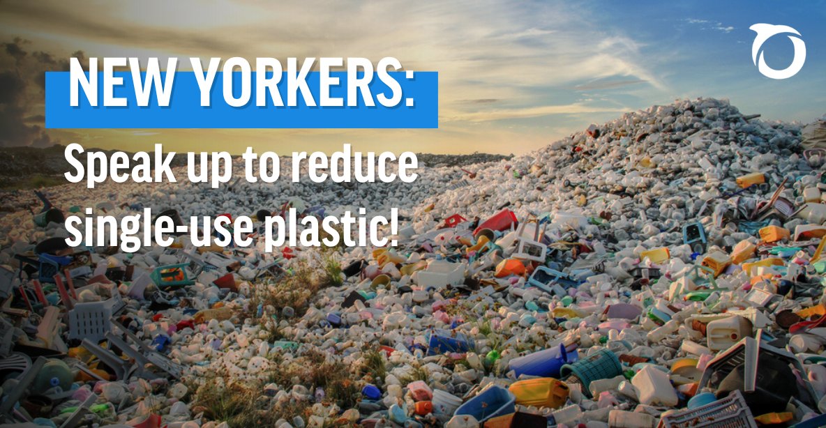 📢 LAST CALL, NEW YORKERS: A proposed bill in the New York Legislature could help reduce single-use plastic pollution and protect our coasts and waterways! Add your name to support The Packaging Reduction Act today: act.oceana.org/page/149905/ac…