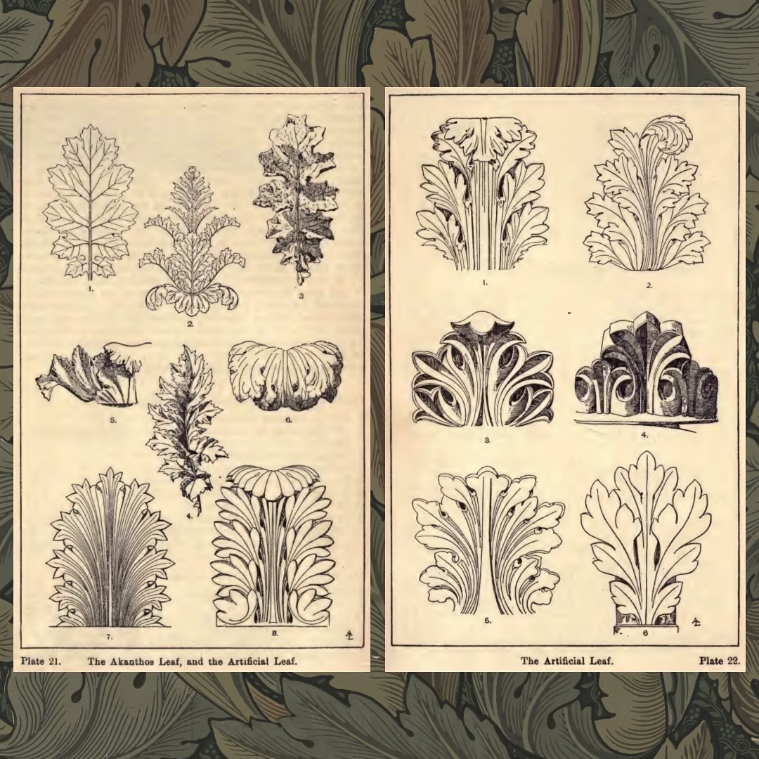 HogarthsHouse's tweet photo. What would a Georgian-inspired garden be without an #acanthus? This plant was the inspiration for some of the most famous forms in art throughout history! See Franz Sales Meyer’s “A Handbook of Ornament” from 1849 – do you recognise any of these variations in your own home? 👀🌿 https://t.co/pxvLmshb5C