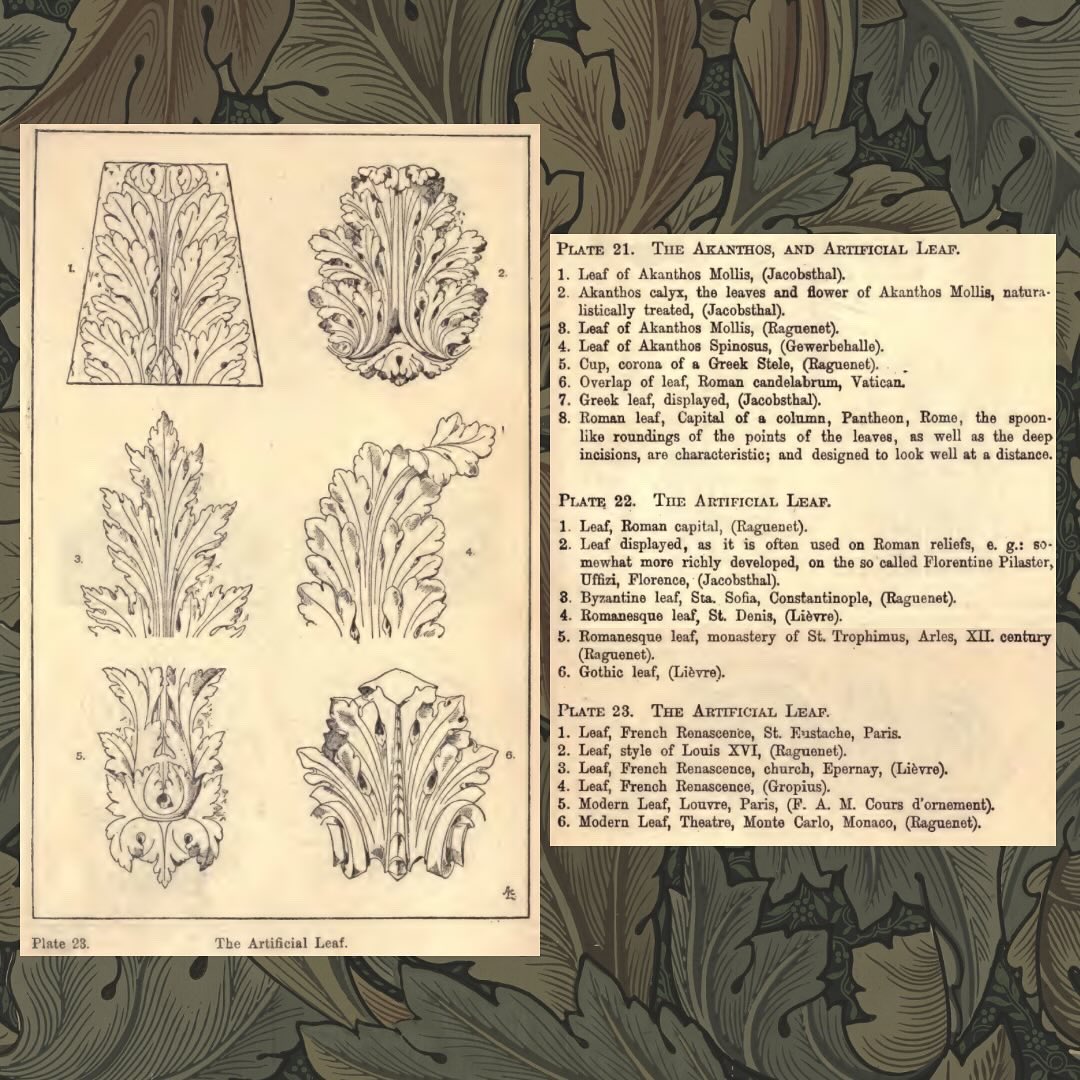 HogarthsHouse's tweet photo. What would a Georgian-inspired garden be without an #acanthus? This plant was the inspiration for some of the most famous forms in art throughout history! See Franz Sales Meyer’s “A Handbook of Ornament” from 1849 – do you recognise any of these variations in your own home? 👀🌿 https://t.co/pxvLmshb5C