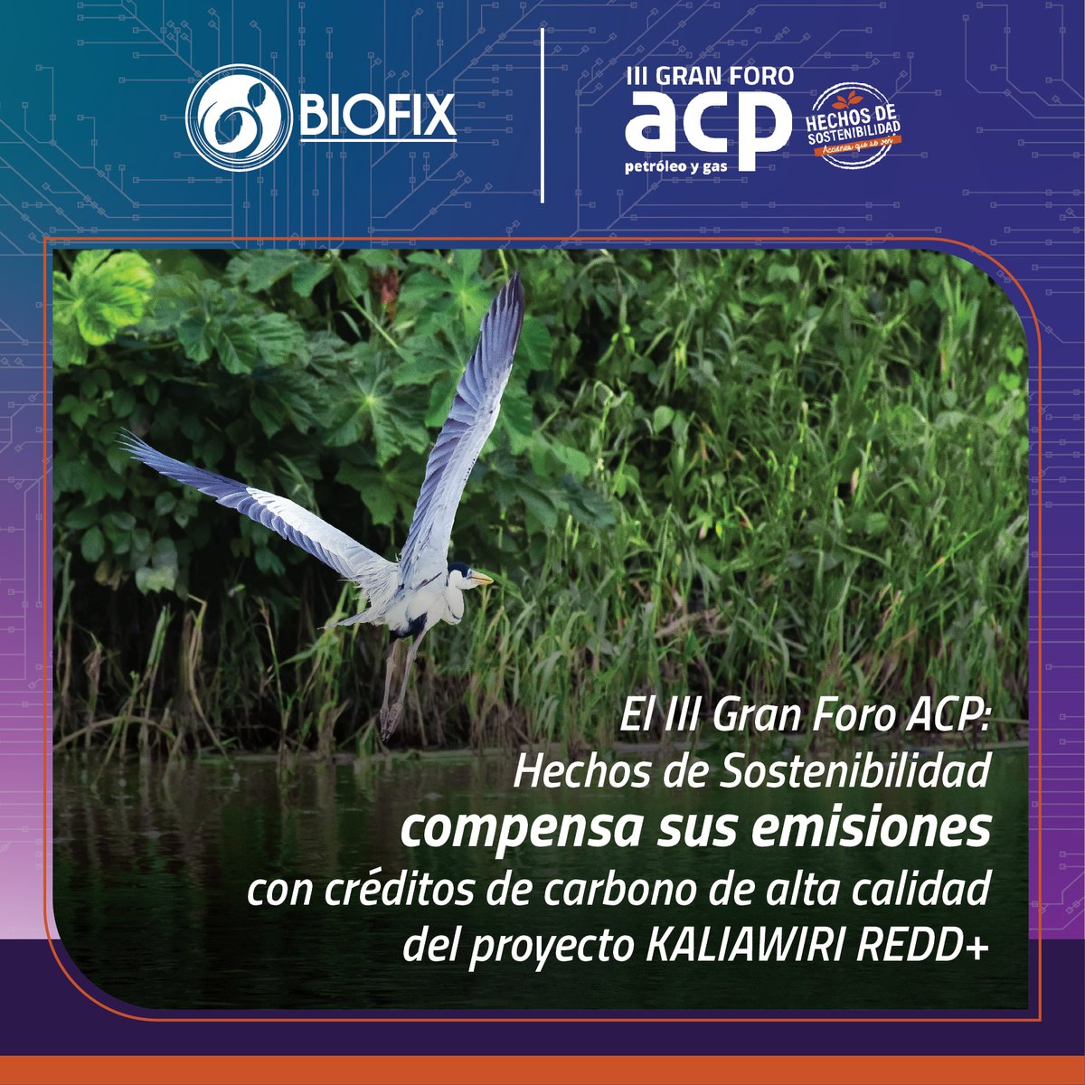 Las emisiones generadas durante el "III Gran Foro ACP: Hechos de Sostenibilidad" están siendo compensadas mediante créditos de carbono de alta calidad del proyecto de conservación KALIAWIRI REDD+.  🌱  S. 🌍✨  #ForoACP #Sostenibilidad #KaliawiriREDD  <a href="/ACP_Colombia/">Asociación Colombiana del Petróleo y Gas</a>