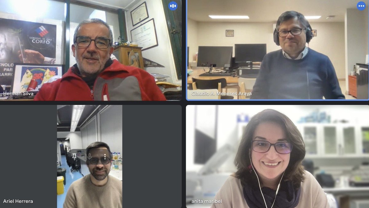 🌿 Ayer nuestra directiva tuvo una productiva reunión virtual con colegas de Santiago y Valdivia, planificando nuevas directrices y cambios para nuestra Sociedad de Biología Vegetal de Chile. ¡Pronto les contaremos más! 🌱 #BiologíaVegetal #CienciaChilena