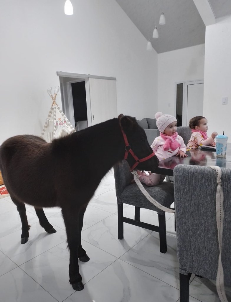 Un día normal con mis sobrinas: