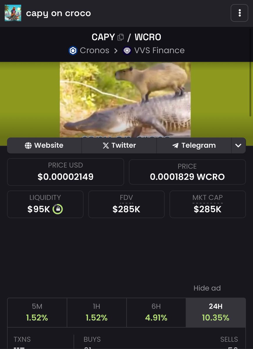 GREEN IS BACK 🚀 LET’S SEND $CAPY TO THE MOON #CROFAM 🫡

- 3B $CAPY BURN IN COMING 🔥

- TRADING CONTEST ON <a href="/wolfswapdotapp/">WolfSWAP | SWAP & WIN</a> with 7,000$ $CAPY rewards 🤩

- OG capy fam supporters with more than 1,000 holders already 🫶

Dont fade capy on croco, capy is watching you 👀