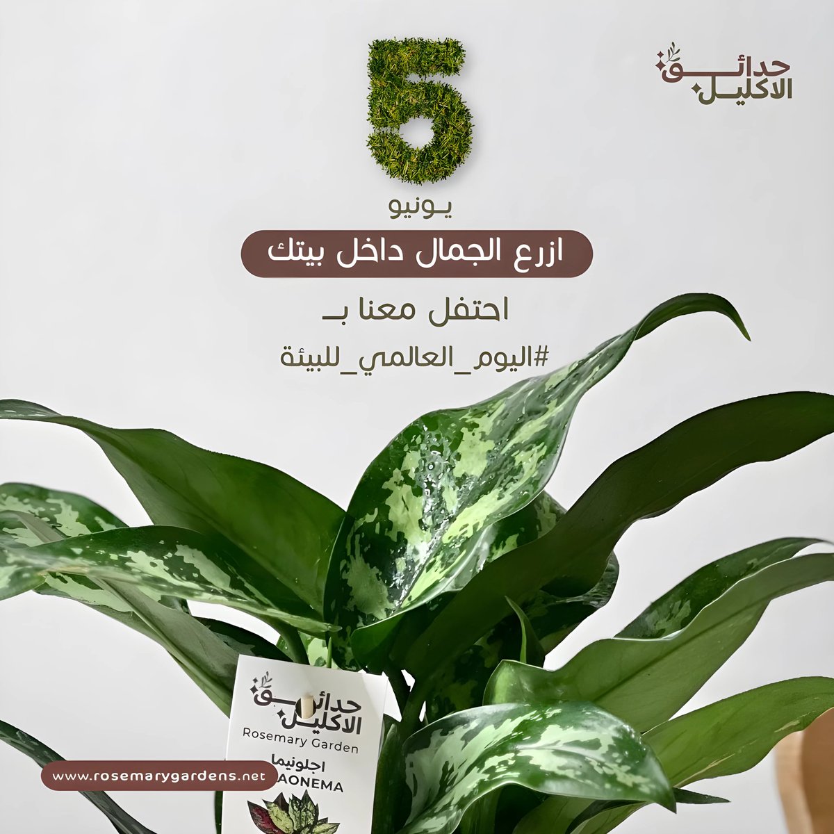 RosemaryGarden8's tweet photo. بمناسبة اليوم العالمي للبيئة، نحب نذكركم بأهمية النباتات في تحسين جودة حياتنا والحفاظ على بيئتنا. 🌱

زوروا متجرنا اليوم واحصلوا على أجمل النباتات
 تعالوا نزرع الأمل معًا ونعزز جمال بيوتنا
 كل نبتة تفرق! 🌻

#اليوم_العالمي_للبيئة #نباتات #السعودية #بيئة_نظيفة #متجر_النباتات https://t.co/FSqRMep9dd