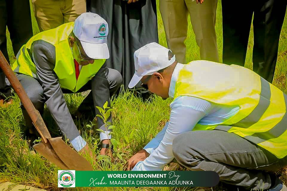 AdenSenior's tweet photo. Happy World Environment Day!

The theme of World Environment Day is “land restoration, desertification, and drought resilience”. https://t.co/ZWqcBDxMwk