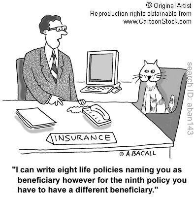 TeamWilliamSF's tweet photo. Happy Friday!
#insurancehumor #catlives #lifeinsurance #TeamWilliamSF #CentralTexas #DSTX #WilliamLunaStateFarm #AgentStateFarm #ProtectWhatYouLove https://t.co/729RjTGySY