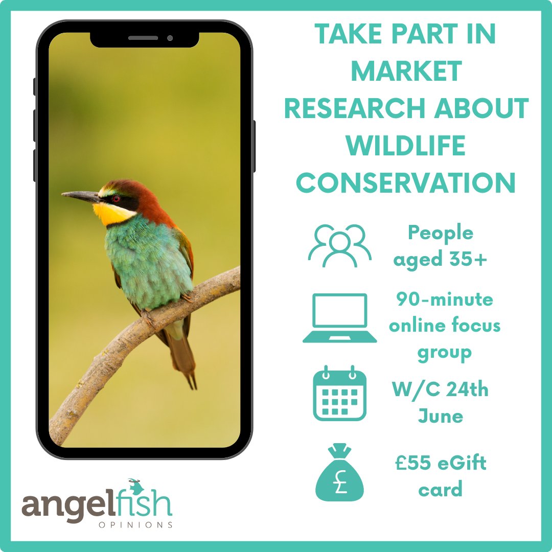 thisisangelfish's tweet photo. CHAT TO A CHARITY ABOUT WILDLIFE CONSERVATION 🐦

A known wildlife and conservation charity want to attract new supporters and chat to different types of people to gain valuable insights! 
 
APPLY: https://t.co/jxxGowL7gN
 
#paidmarketresearch #haveyoursay https://t.co/L3VJqJlzsD