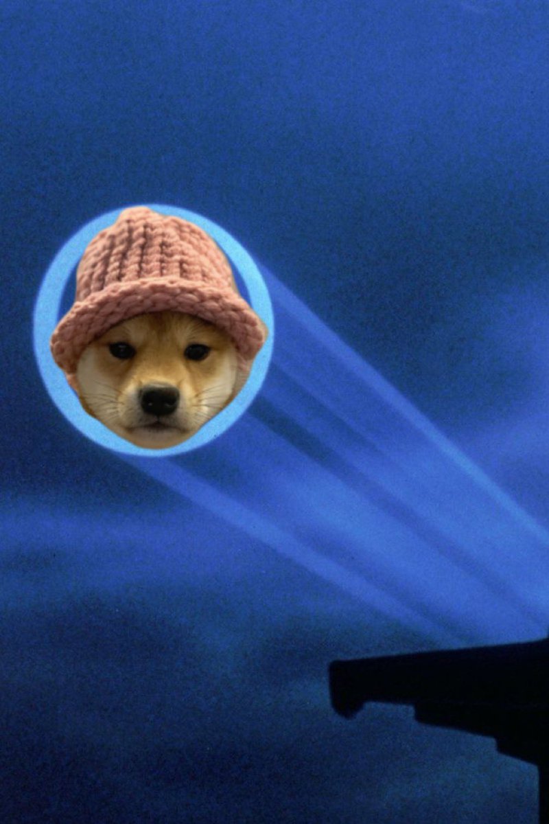bscDogwifhat's tweet photo. this is just the beginning.... 

$WIF #BNB https://t.co/NCvkwDzTFX