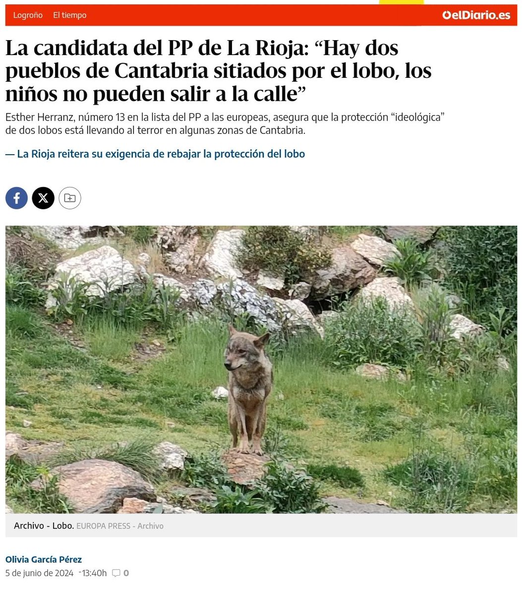🐺⚠️ Atención papardos: esto es totalmente cierto. Por no hablar de las mareas cantábricas que alcanzan a los pueblos del litoral, arrastrando chalets y lamborghinis. Por precaución, eviten Cantabria durante el verano 🙄
#CantabriaInfinita
