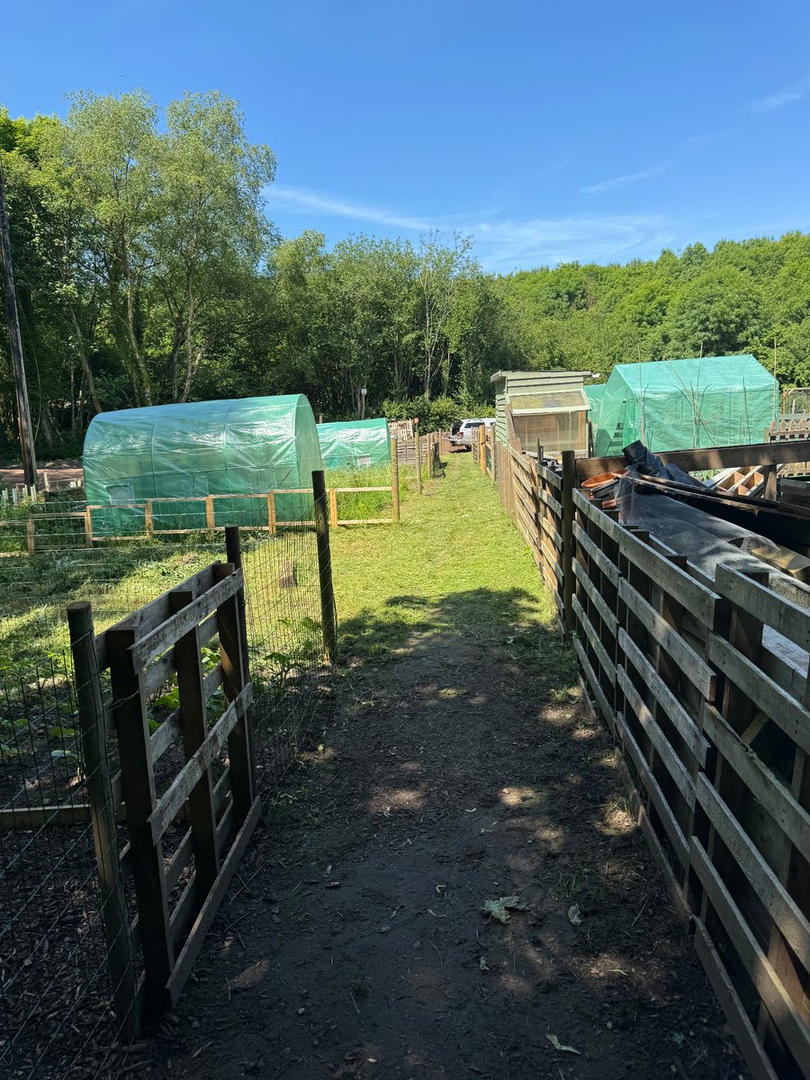 ⚠️ PRIME #ALLOTMENT PLOTS AVAILABLE NOW! ⚠️ 

🥕 Don’t miss out on the opportunity to relax, unwind &amp; enjoy the rewards of growing your own 🍅 

View our plots &amp; apply @ wharfside.org/apply-allotment

#Lichfield #Walsall #Burntwood #Chasetown #Staffordshire
