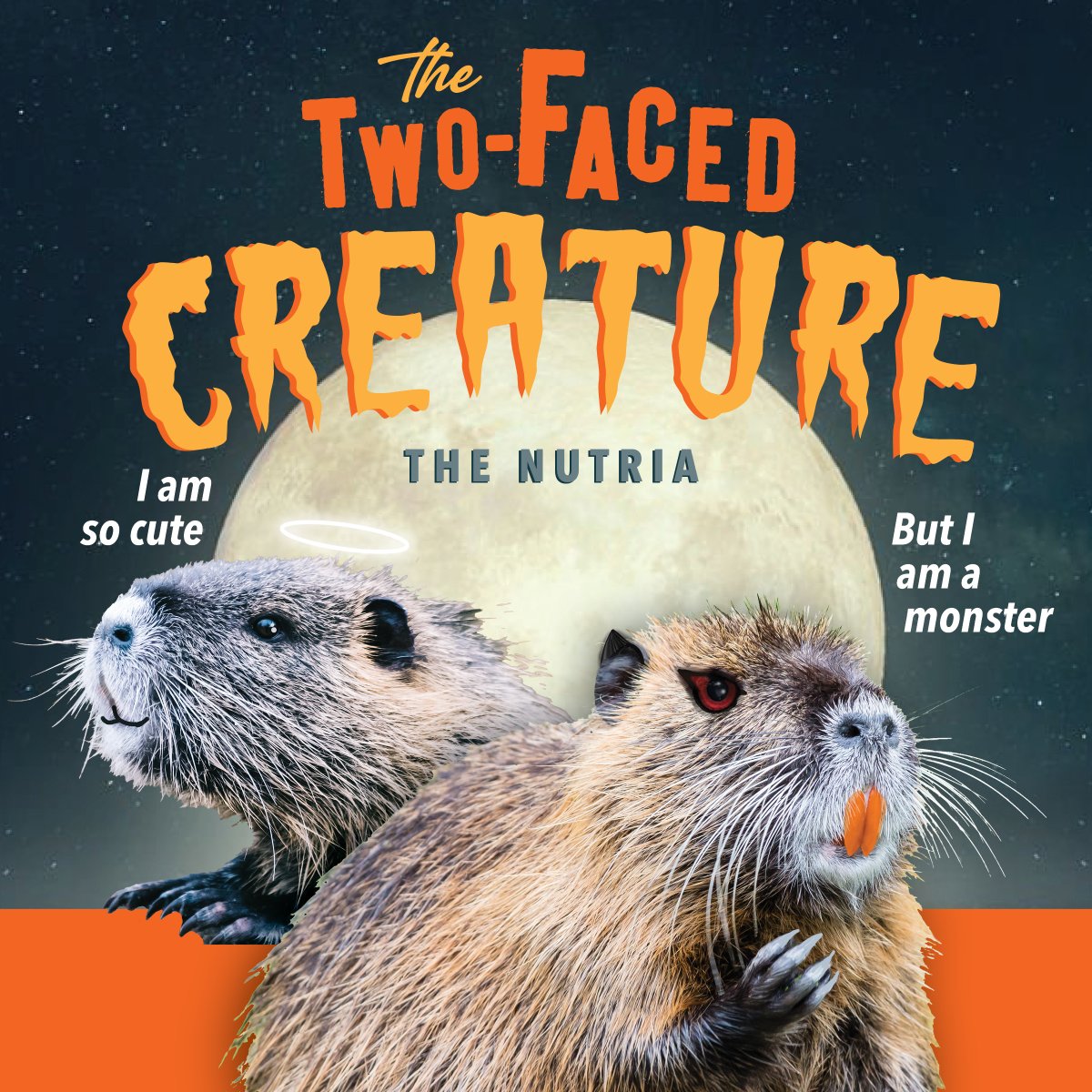 California Department of Water Resources tweet media