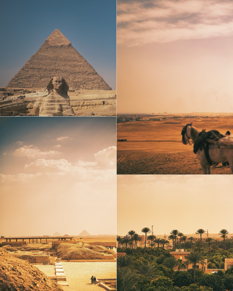 616player_'s tweet photo. Ein paar Fotos, die ich in Ägypten geschossen habe 📸. #photography #Egypt #travel https://t.co/pwNnKfJTg6