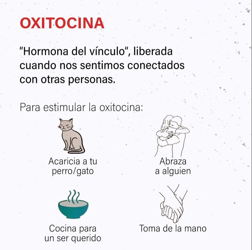 Cómo Hackear tus 4 Hormonas de la Felicidad:

1.Oxitocina