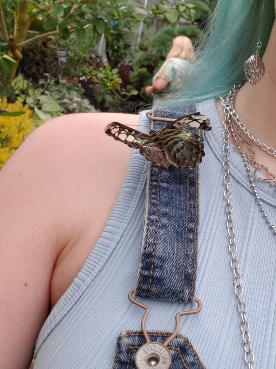 I made a friend today