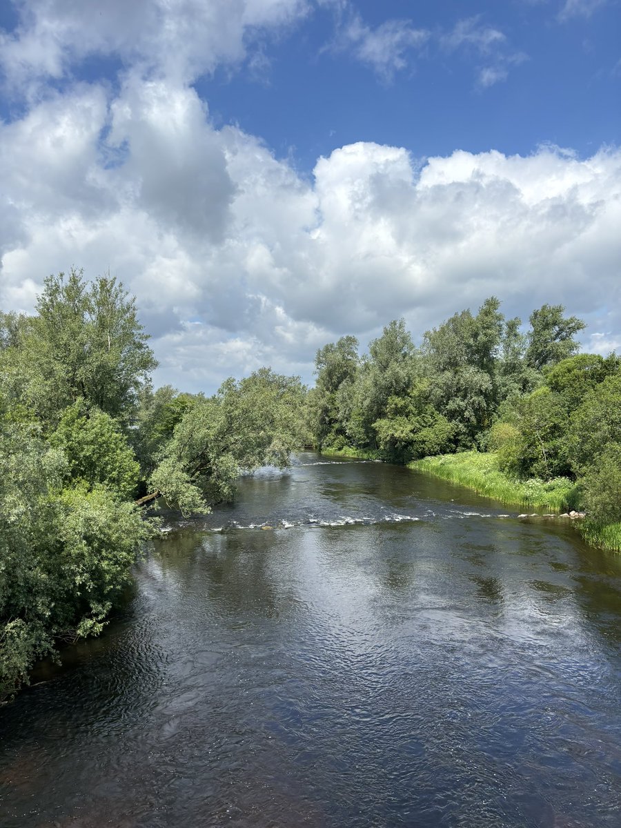 That’s a wrap on ISRII 2024! It has been a  wonderful 3 days of learning and networking in Limerick, Ireland 🍀 thank you to everyone who voted for my poster which won an award and <a href="/TheISRII/">ISRII</a> travel scholarship for making the trip possible 🤗 <a href="/TheMatilda_USyd/">The Matilda Centre</a>