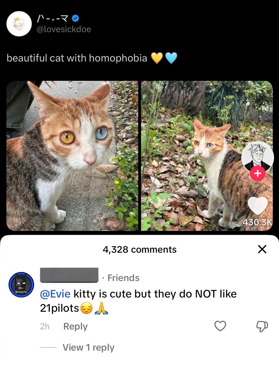 softestbandito's tweet image. THIS COMMENT?!!?!?😭😭😭😭