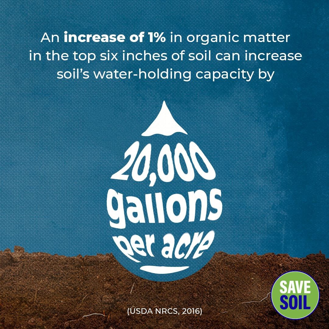 KaranSaveSoil's tweet photo. @bdas2208 🏞 Healthy ecosystems depend on healthy
soil. On World Environment Day, let's pledge
to restore our lands and prevent
desertification. Together, we can make a
difference. Visit https://t.co/JNHV39yMC2
#SaveSoil4Future #WorldEnvironmentDay‌ https://t.co/yr1t7iEZYF