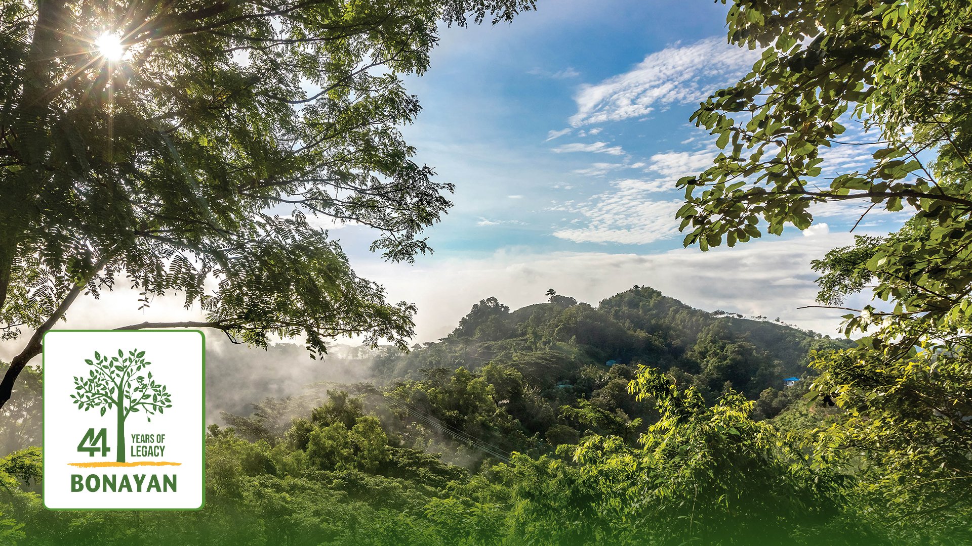 বিশ্ব পরিবেশ দিবস উপলক্ষে বিতরণ করা হবে ৫০ লাখ চারা