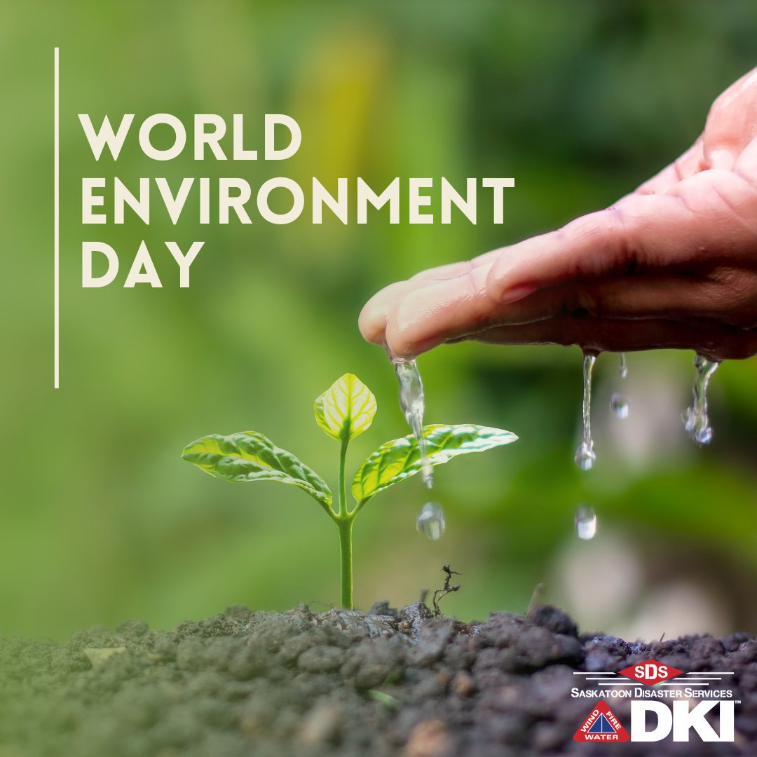 Happy #WorldEnvironmentDay! At DKI – SDS, we’re committed to ensuring we leave as little impact on our environment as possible. That’s why use the most environmentally responsible products available to reduce the chemicals entering our ecosystem.

Visit saskatoondisasterservices.com