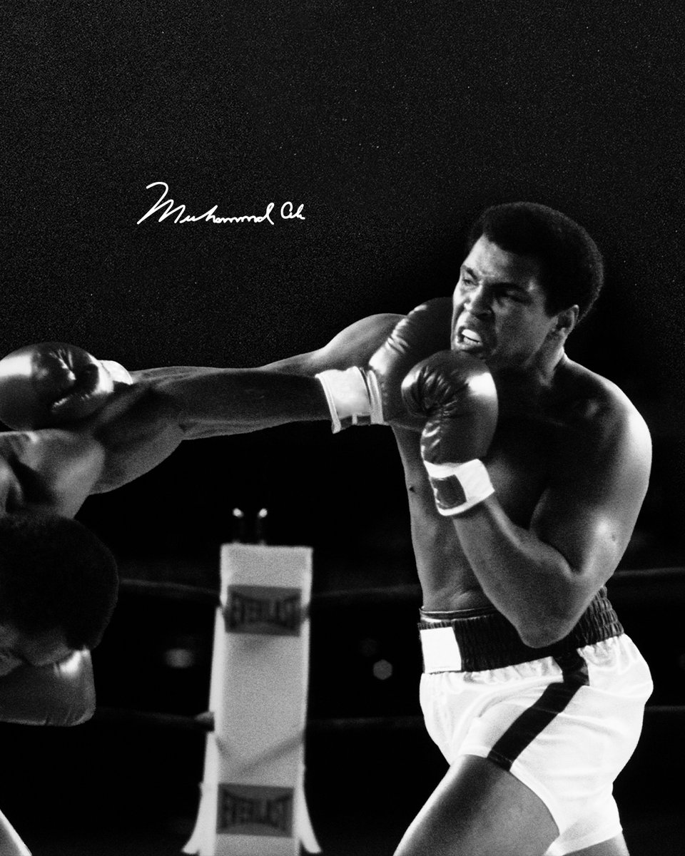 MuhammadAli's tweet photo. The People’s Champ

In honor of #ALIWeek, @the_rudis proud to present an exclusive MUHAMMAD ALI X RUDIS capsule inspired by the legend himself, Muhammad Ali. 

Shop here: https://t.co/KNi7JMCnZ5 https://t.co/JC4TiJwoIL