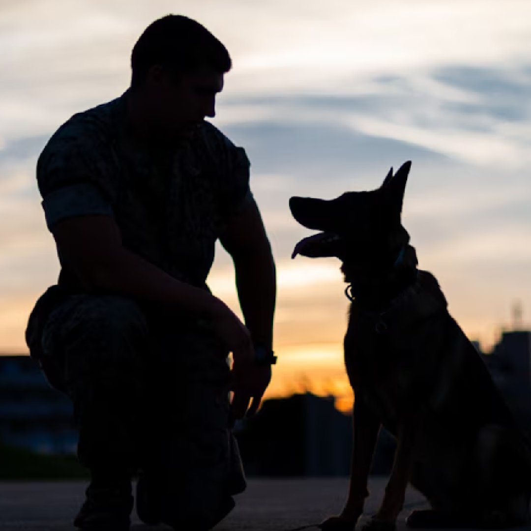 Military1Source's tweet photo. #MilLife Learning recently released new online courses to help the military community understand how to apply for changes in their military records, including their discharge paperwork. Learn more and share these resources today: https://t.co/SfF3SGQjaf. https://t.co/ksXLZYz63N