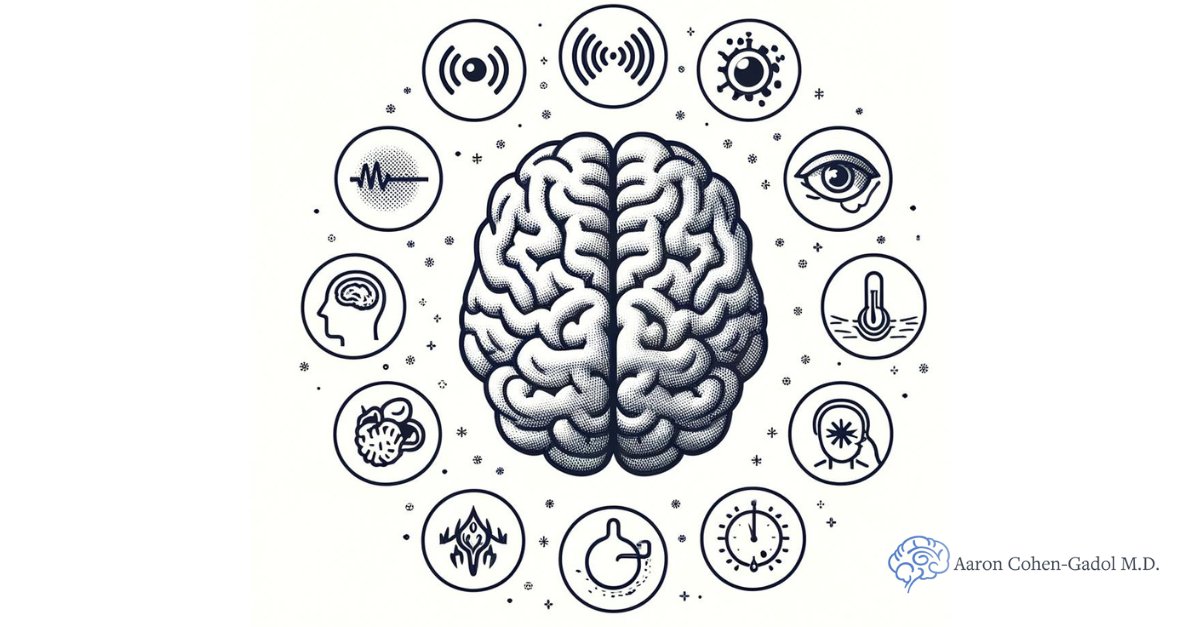 AaronCohenGadol's tweet photo. Worried about arteriovenous fistulas (AVF) near the brain's surface (dural AVFs)? Symptoms like headaches, vision changes, and more can indicate their presence. Learn more | https://t.co/agbfvgLoOn. #Neurosurgery #arteriovenousfistulas #secondopinions #AVF #dAVF https://t.co/QxsAT4uhr7