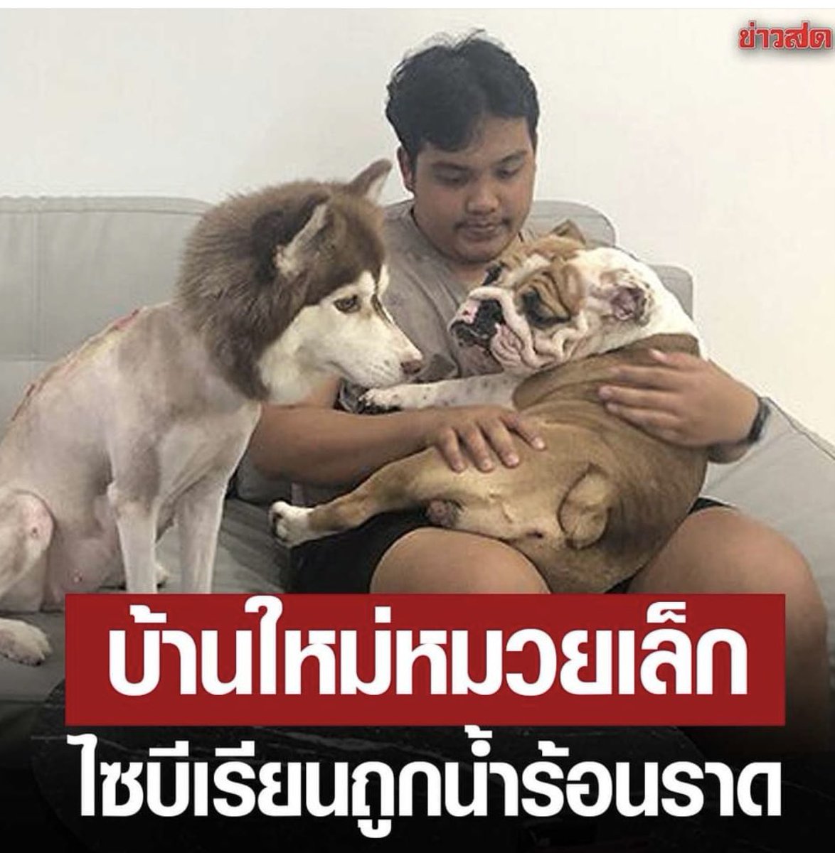 Kawaaii tweet media