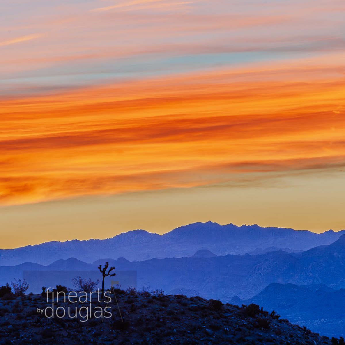ngdouglas's tweet photo. #HappyHumpDay, #nature is a way to cleanse ones #soul, every morning is so #magical... the #universe is so #vast, we are so little, so is our #problems...; #photography #finearts #fineartsbydouglas #WeeklyHumpDayPhoto #artofcreation #nature #connectionwithnature #inspiration https://t.co/alF9wyZx71
