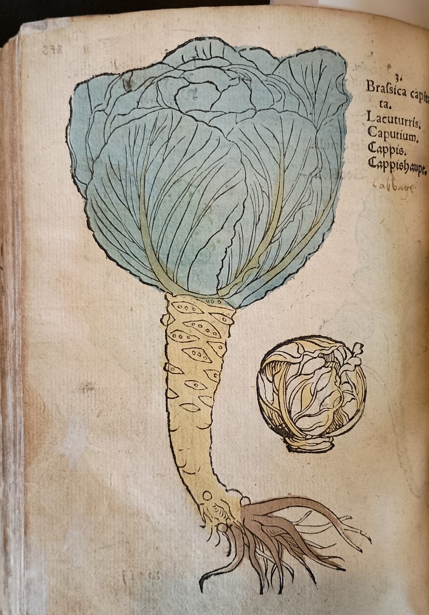 Marsh's Library tweet media