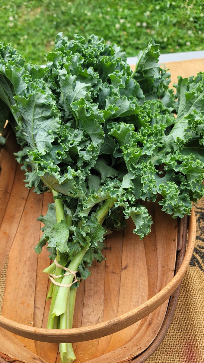 The cherries 🍒 are here. Come on down to the farm. The market will be open from 12-3pm. 
#FarmersMarket #cherries