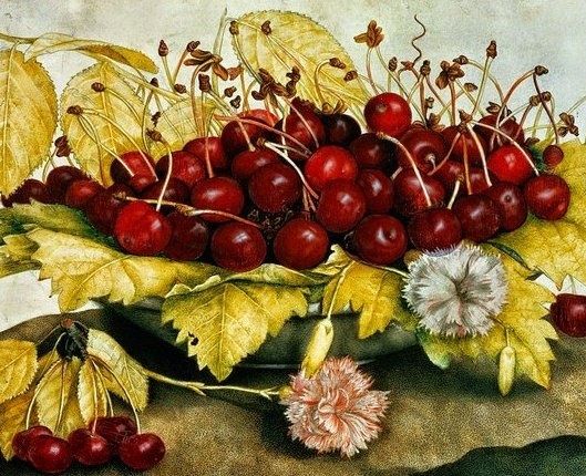 womensart1's tweet photo. Italian painter Giovanna Garzoni (1600-1670), one of the first women artists to practice still life painting  #WomensArt https://t.co/S01YUOBq0g
