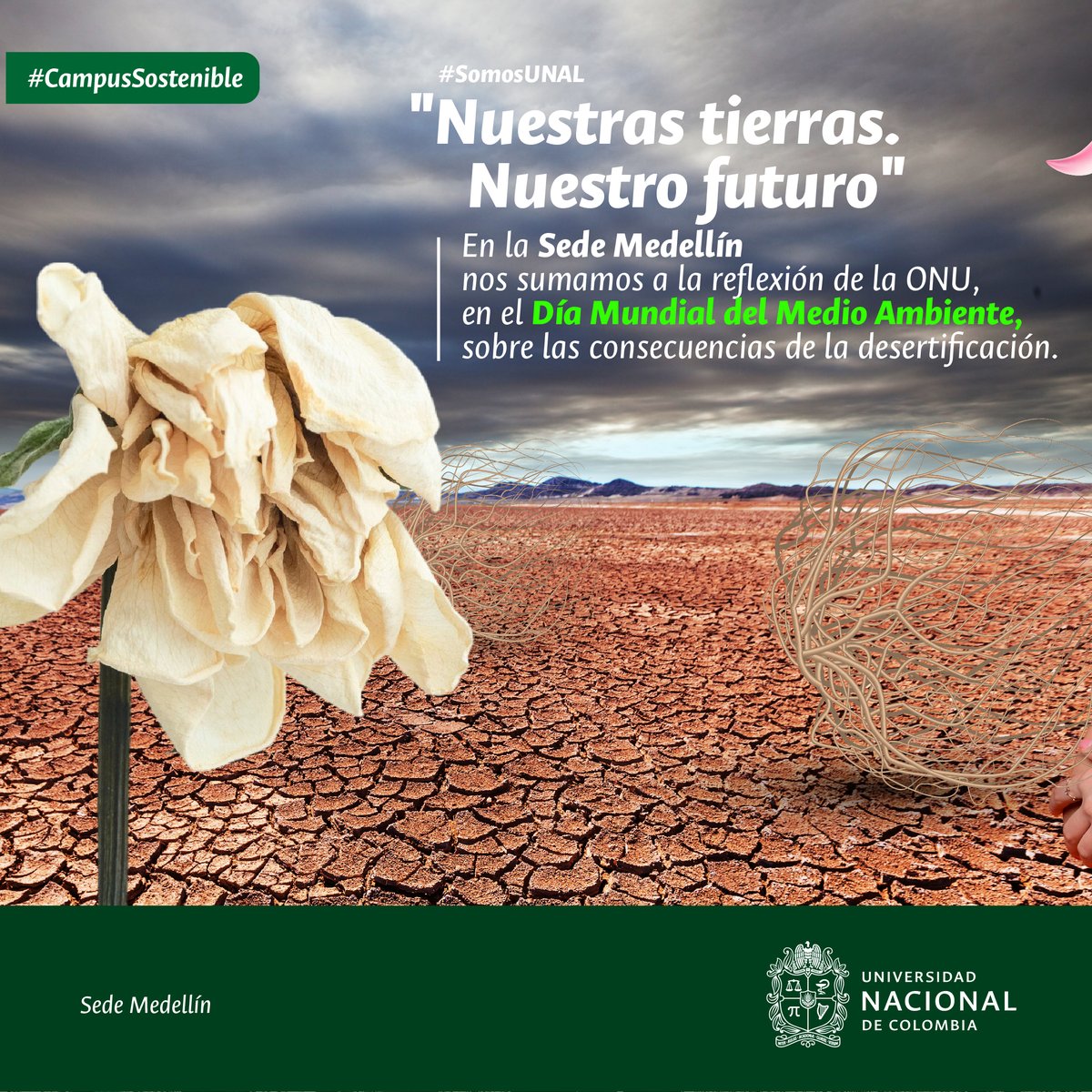 MedellinUNAL's tweet photo. Abrimos🧵. Los ecosistemas de todo el mundo están en peligro y aunque "no podemos retroceder en el tiempo, sí podemos hacer crecer los bosques, revitalizar las fuentes de agua y restaurar los suelos". https://t.co/87ebLHAUNM