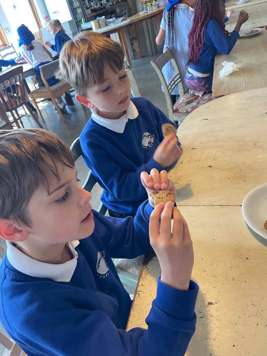Ysgol Bro Banw (@brobanw) on Twitter photo We had a truly unique experience today visiting the wonderful <a href="/thebugfarmUK/">Dr Beynon's Bug Farm</a> A day of firsts for everyone, getting up close with some fascinating creatures & learning how cooking with bugs can support our planet! Who would have thought a ‘cricket cookie’ could be so tasty! 🐛 We had a truly unique experience today visiting the wonderful <a href="/thebugfarmUK/">Dr Beynon's Bug Farm</a> A day of firsts for everyone, getting up close with some fascinating creatures & learning how cooking with bugs can support our planet! Who would have thought a ‘cricket cookie’ could be so tasty! 🐛