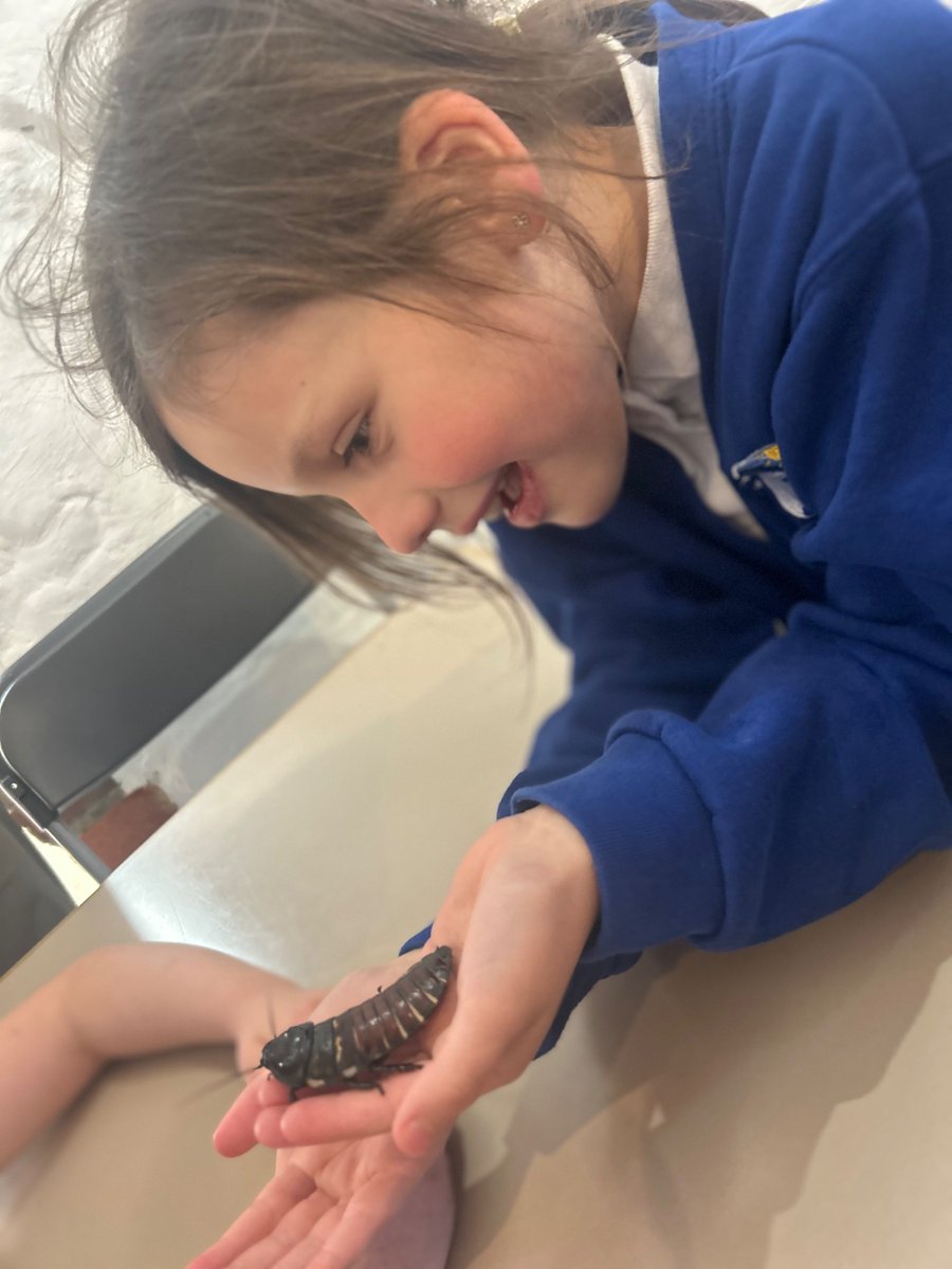 Ysgol Bro Banw tweet media