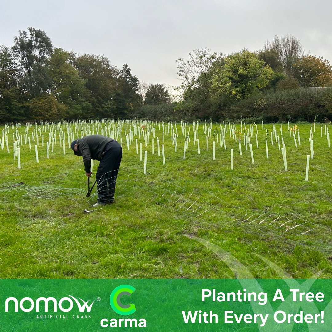 🌳 Exciting News from Nomow! 🌳

We are thrilled to announce our new sustainability initiative in partnership with Carma. From now on, for every order placed with Nomow, we will plant a tree! 🌱

#Nomow #Sustainability #PlantATree #GreenInitiative #EcoFriendly #Reforestation