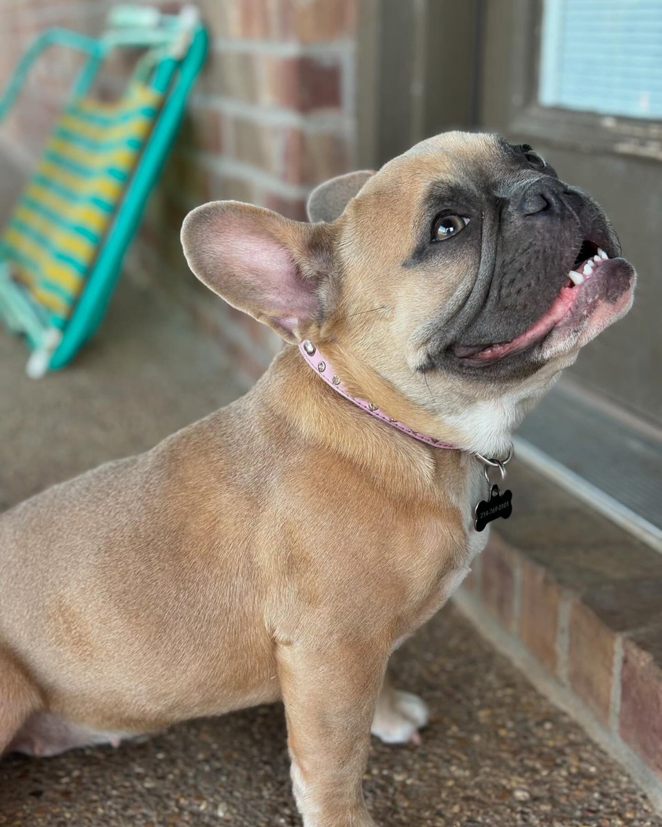 Madison Leal tweet media